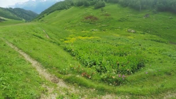 Caminho em prados alpinos — Vídeo de Stock