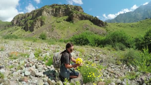 Meisje verzamelt wilde bloemen — Stockvideo