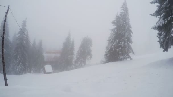 Schneesturm in den Bergen — Stockvideo