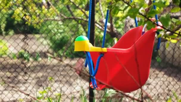 Enfants balancent sur l'arbre — Video