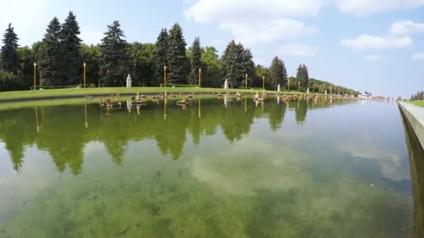 Estanque con fuente en el parque — Vídeo de stock