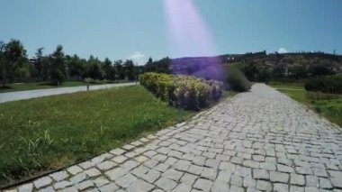 Park pines arasında yol