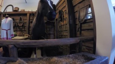 Sahne film stüdyoları Mosfilm at ahırları