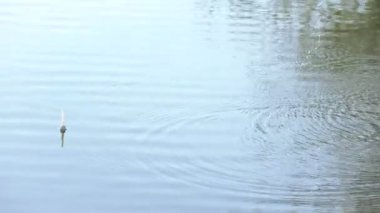 Sakin su Nehri üzerinde yüzen