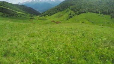Alpine meadows yolundaki