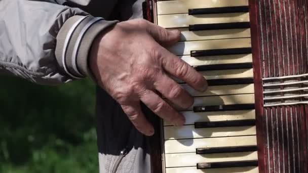 Старик играет на аккордеоне. — стоковое видео