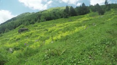 Alpine meadows yolundaki