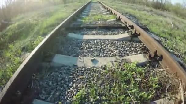 Binari ferroviari sulla natura — Video Stock