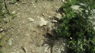 Dağlar taşlar olan yol