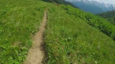 Alpine meadows yolundaki