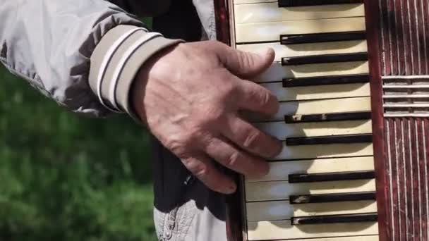 Old man plays on old accordion — Stock Video