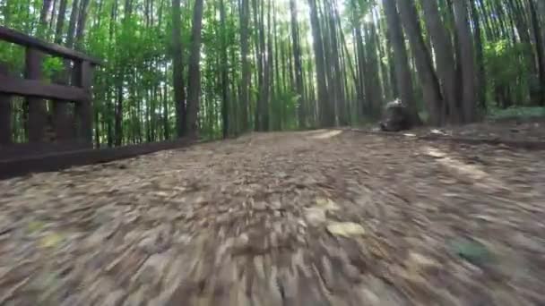 Chemin dans le parc citys 