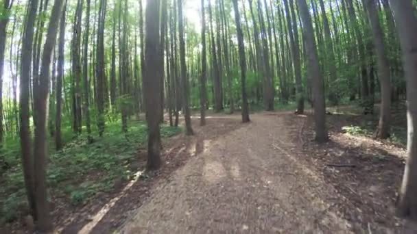 Chemin dans le parc citys 