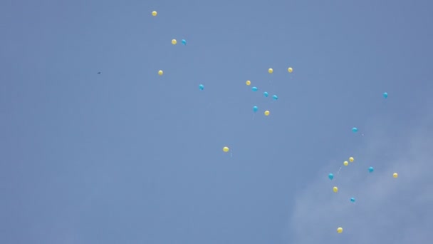 Boules de gel dans le ciel bkue — Video