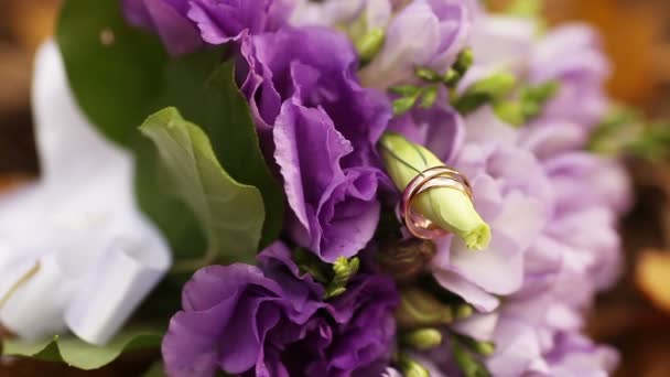 Anillos de novia en el brote — Vídeos de Stock