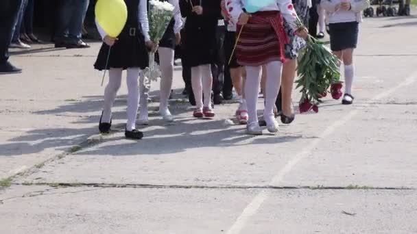 Turma da escola em formação — Vídeo de Stock