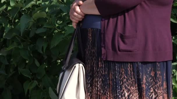 Donna con borsa in strada — Video Stock