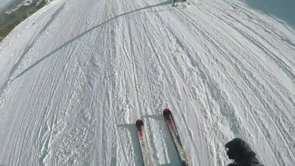 Descente de ski dans la nature — Video