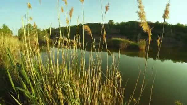 Inundada cantera en la naturaleza — Vídeos de Stock