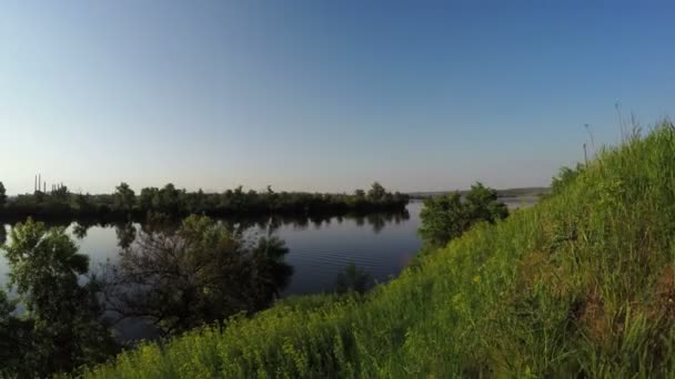 Ribera del río en la naturaleza — Vídeo de stock