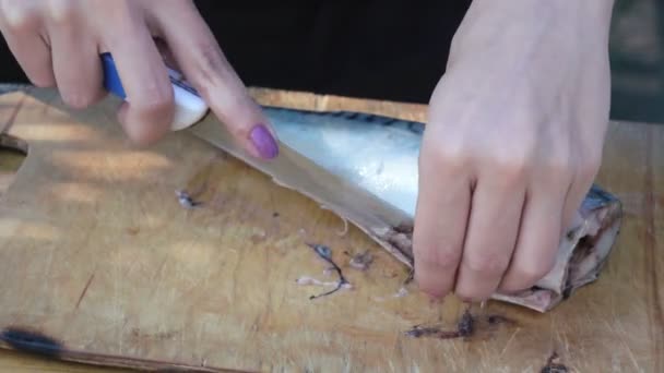 Butchering mackerel on nature — Stock Video