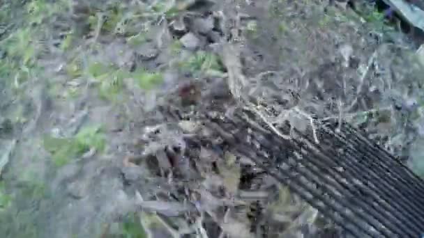 Schoonmaken van de bladeren in de natuur — Stockvideo