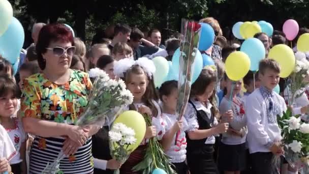 Schoolklas op lijn — Stockvideo