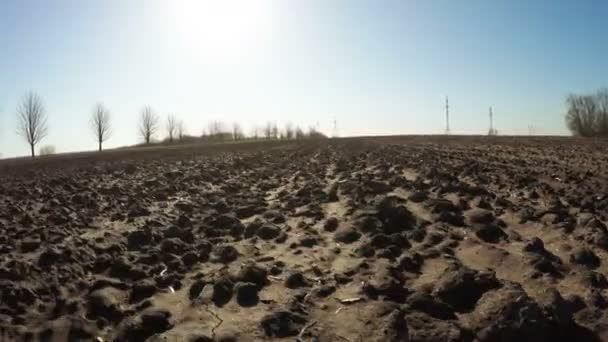 Kale bodem voorjaar natuur — Stockvideo