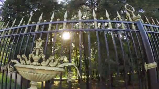 Високий кований паркан літо — стокове відео