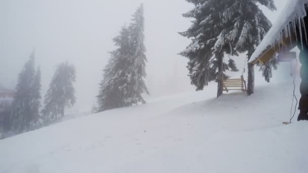 Sneeuwstorm in Bergen — Stockvideo