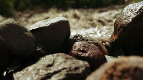 Cours d'eau de montagne en Géorgie — Video