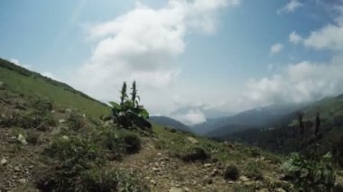 dağlarda yolu