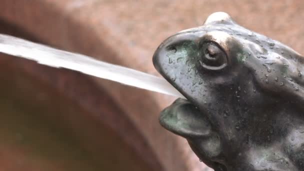 Figuur kikker in fontein — Stockvideo