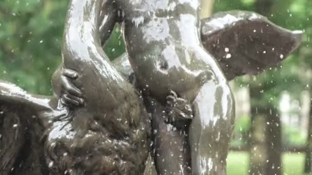 Postać młodego człowieka z swan w fontannie — Wideo stockowe