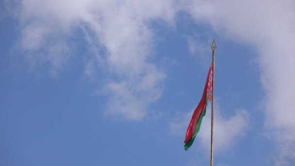 Bandeira da República da Bielorrússia — Vídeo de Stock