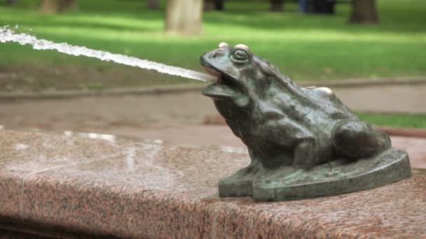 Figure of frog in fountain — Stock Video