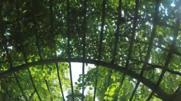Pokoje zielony ogród letni — Wideo stockowe