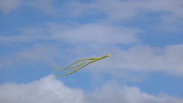 Globo en forma de pulpo — Vídeos de Stock