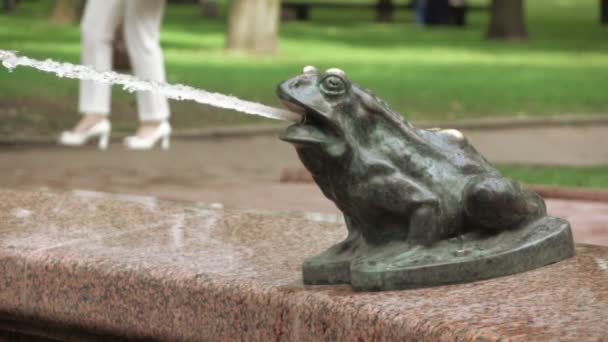 Figure of frog in fountain — Stock Video