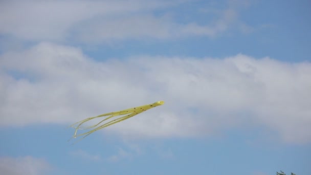 Ballon en forme de pieuvre — Video