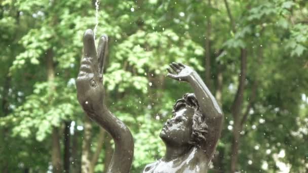 Figure de jeune homme avec cygne dans la fontaine — Video