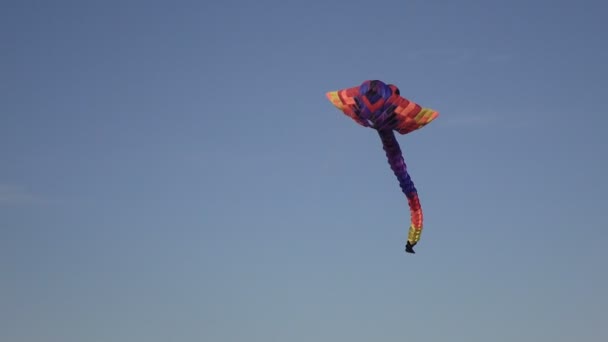 Air ciel serpent dans le ciel — Video