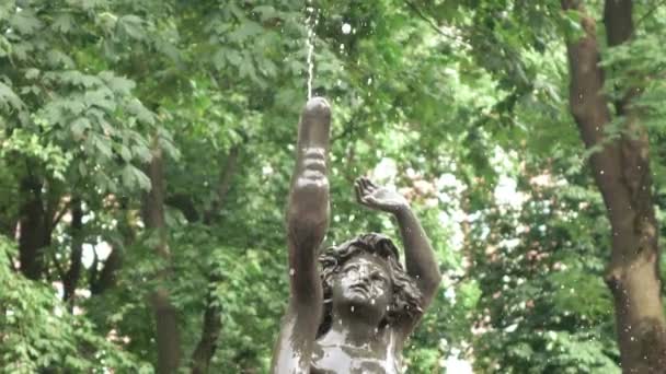 Фігура молодого чоловіка з лебедем у фонтані — стокове відео