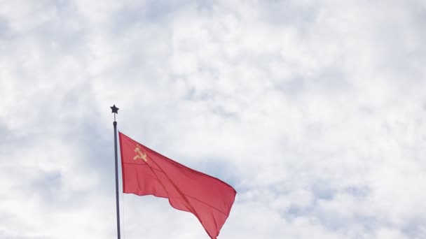 Flag of USSR on nature — Stock Video