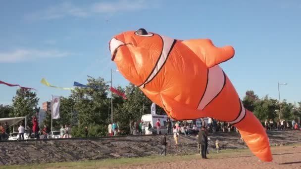 Balão em forma de peixe — Vídeo de Stock