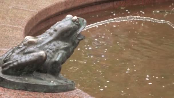 Figure de grenouille dans la fontaine — Video