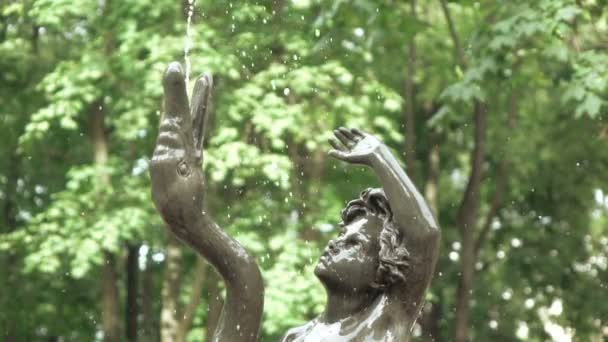 Figure de jeune homme avec cygne dans la fontaine — Video