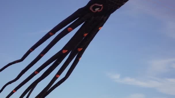 Tentakler kite av ballong i form av en bläckfisk — Stockvideo