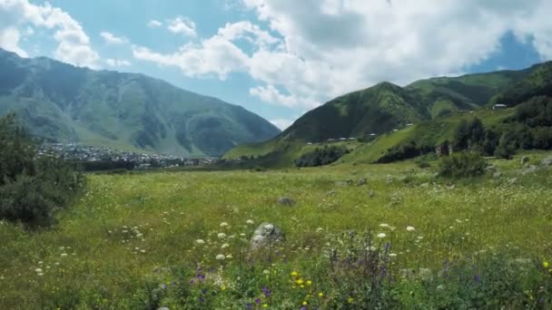 Alpine meadows yolundaki — Stok video