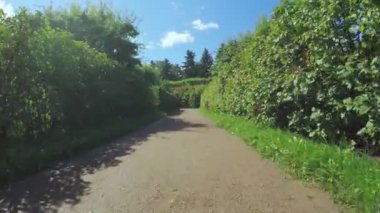 Çalıların arasında labirent